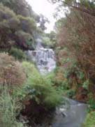 Rotorua - Hells Gate (Mud Pools)